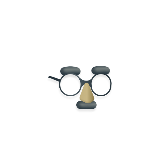 Disguise Glasses