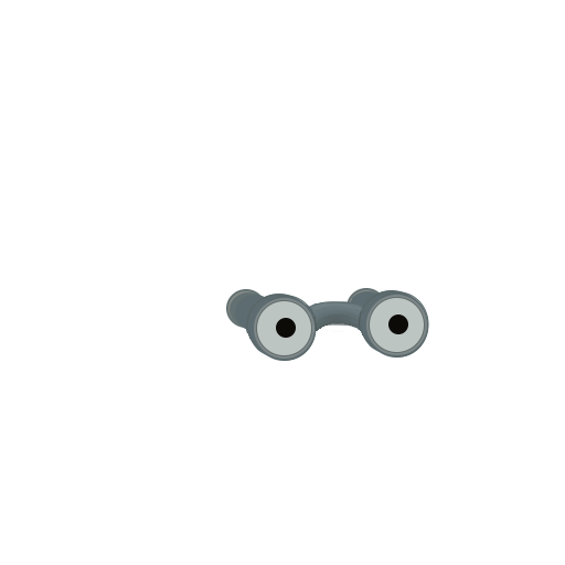 Explorer's binoculars
